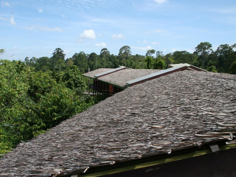 Paganakan Dii Tropical Retreat Sepilok Pokoj fotografie